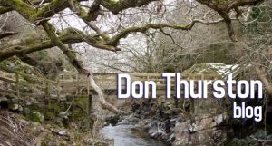 Don Thurston Blog